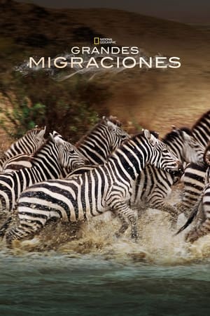 donde ver great migrations