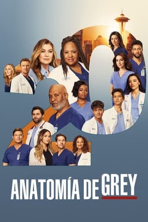 donde ver grey's anatomy