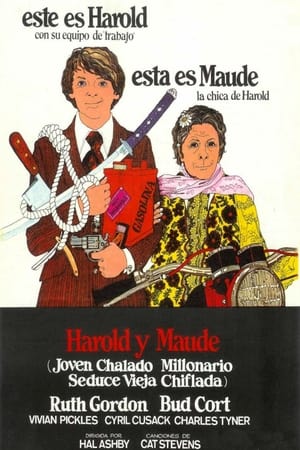 donde ver harold and maude