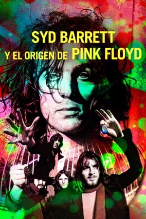 donde ver have you got it yet? the story of syd barrett and pink floyd