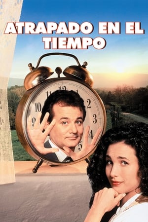 donde ver groundhog day