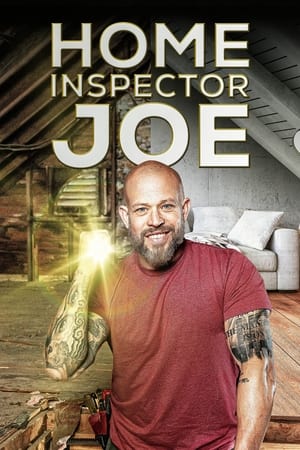 donde ver home inspector joe