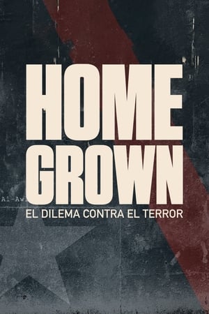 donde ver homegrown: the counter-terror dilemma