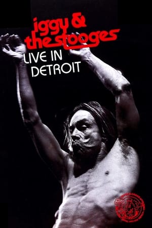 donde ver iggy and the stooges - live in detroit 2003