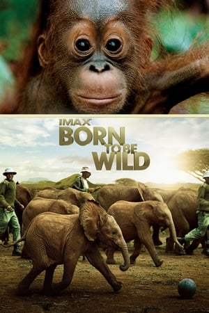 donde ver imax born to be wild