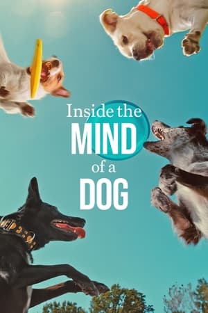 donde ver inside the mind of a dog