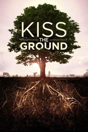 donde ver kiss the ground