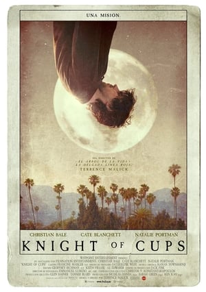 donde ver knight of cups