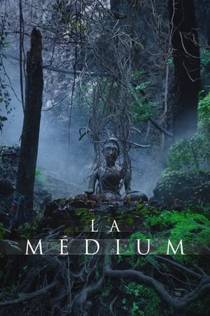 donde ver the medium