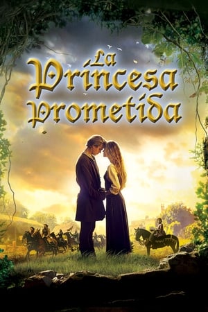 donde ver la princesa prometida