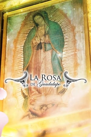 donde ver la rosa de guadalupe