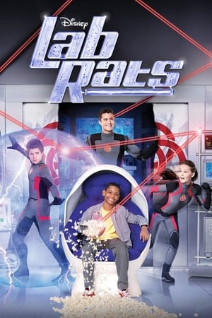 donde ver lab rats