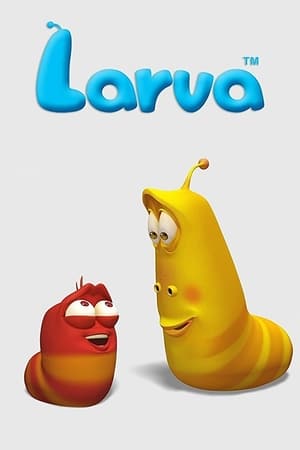 donde ver larva