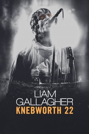 donde ver liam gallagher live at knebworth 22