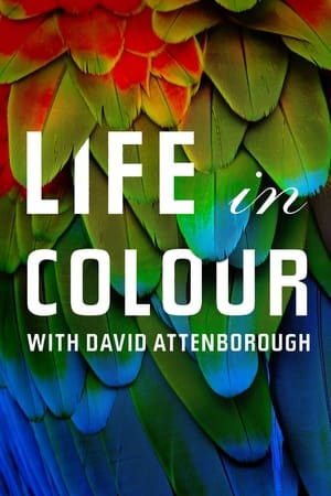 donde ver life in colour with david attenborough