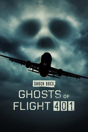 donde ver los fantasmas del vuelo 401