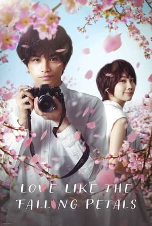 donde ver love like the falling petals