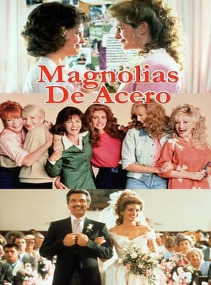 donde ver steel magnolias