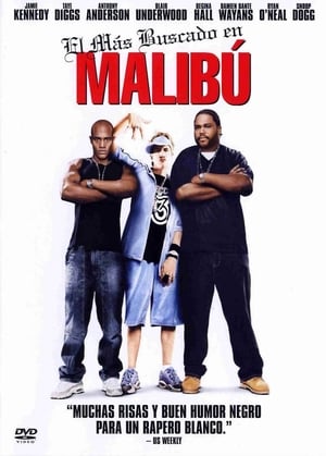 donde ver malibu's most wanted