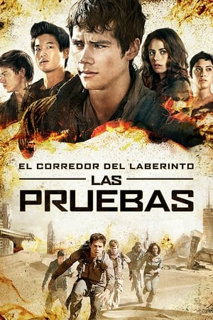 donde ver maze runner: prueba de fuego