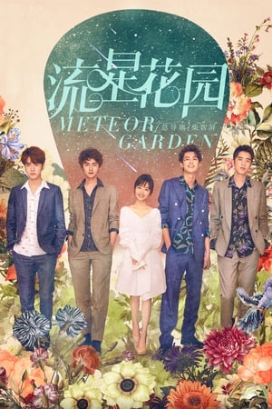 donde ver meteor garden