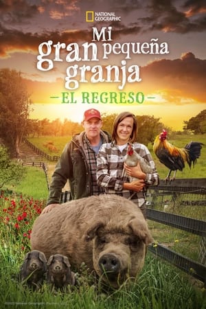 donde ver mi gran pequeña granja: el regreso