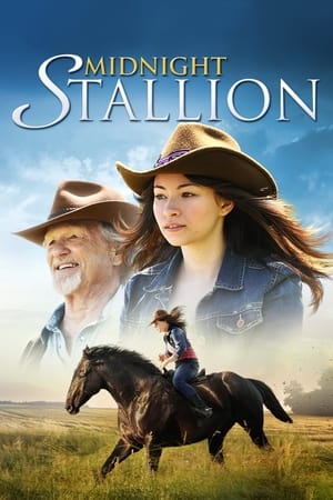 donde ver midnight stallion