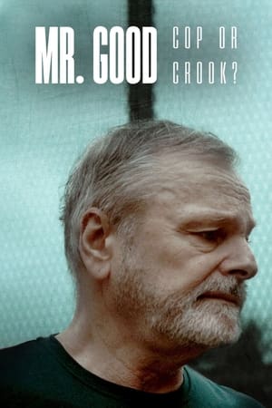 donde ver mr. good: cop or crook?