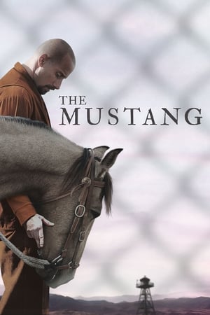 donde ver mustang: la rehabilitación