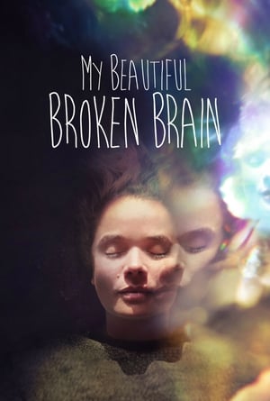 donde ver my beautiful broken brain