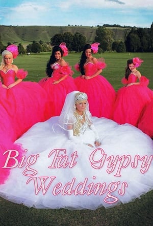 donde ver my big fat american gypsy wedding