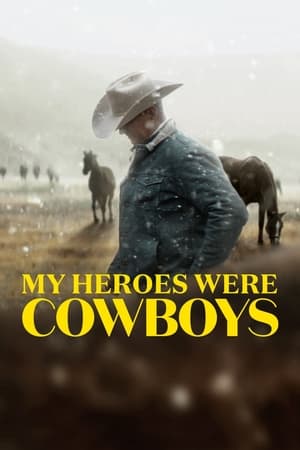 donde ver my heroes were cowboys