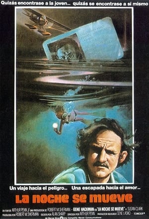 donde ver night moves (1975)