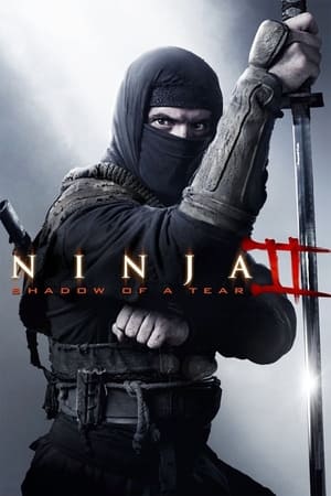 donde ver ninja ii: el guerrero silencioso