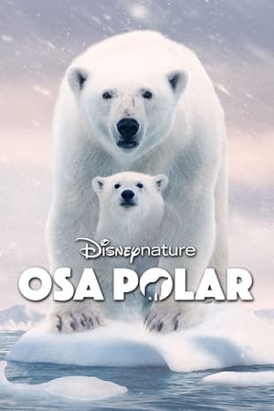 donde ver osa polar