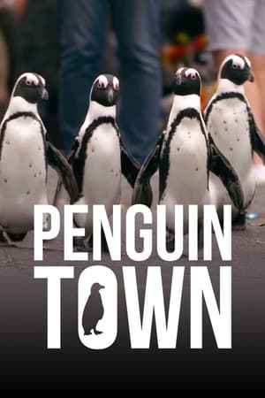 donde ver penguin town