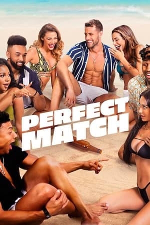 donde ver perfect match