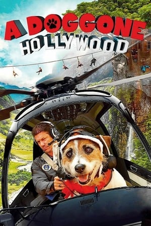 donde ver perro de hollywood