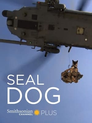 donde ver seal dog