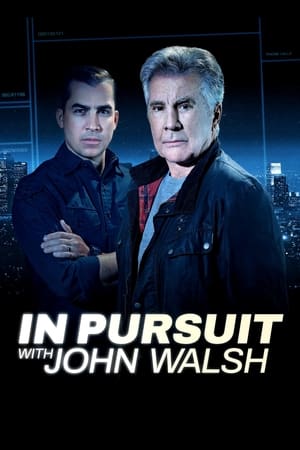 donde ver persecución con john walsh