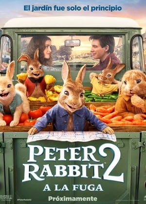 donde ver peter rabbit: conejo en fuga