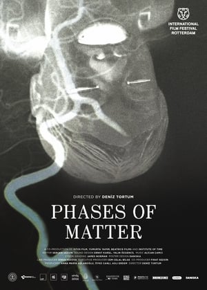 donde ver phases of matter