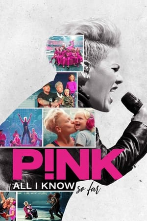donde ver p!nk: all i know so far