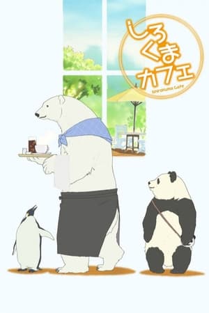 donde ver polar bear cafe