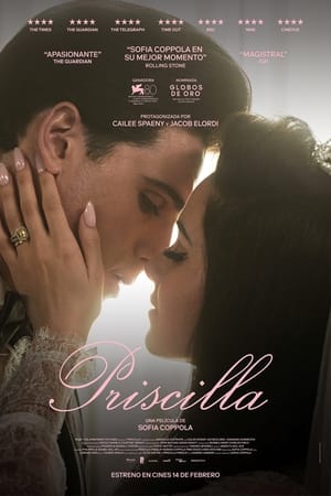 donde ver priscilla