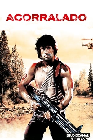 donde ver rambo 4: regreso al infierno