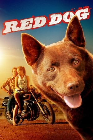 donde ver red dog