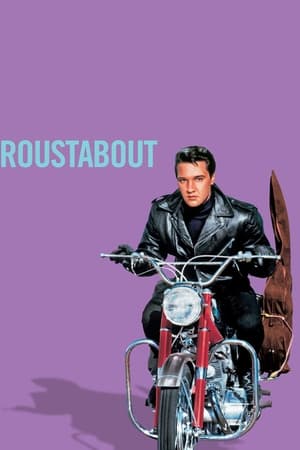 donde ver roustabout