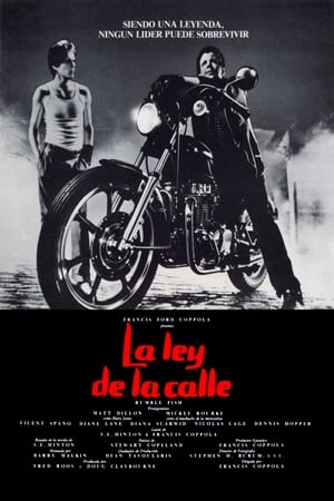 donde ver rumble fish: la ley de la calle