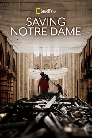 donde ver saving notre dame